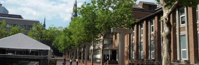 Una sola línea de árboles en la plaza del ayuntamiento, Eindhoven